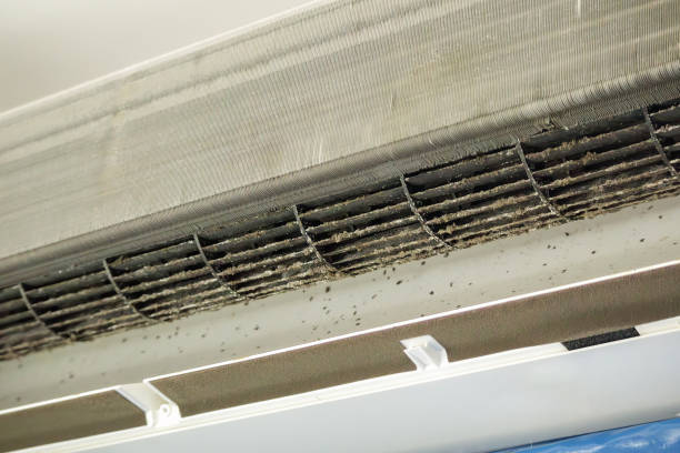 Best Affordable HVAC Duct Cleaning  in Northvale, NJ